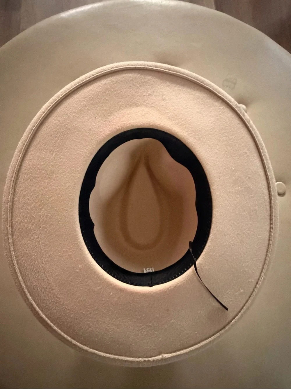 Women’s Wide-Brim Felt Fedora Hat in Ivory